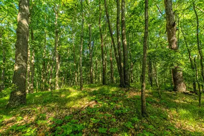 1935 Pierce Road, Chelsea, MI 48118 - Photo 9