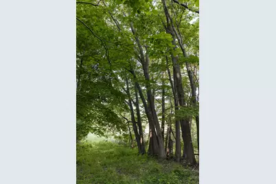 0 28 Mile Rd Road, Albion, MI 49224 - Photo 9