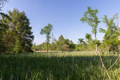 0 28 Mile Rd Road, Albion, MI 49224 - Photo 27