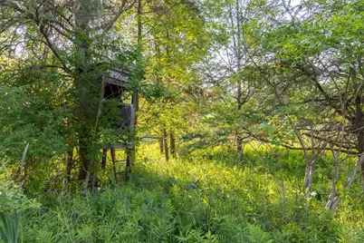 0 28 Mile Rd Road, Albion, MI 49224 - Photo 23