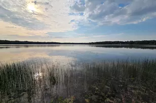 2093 N Tallman Lake Rd, Fountain, MI 49410 - Photo 37