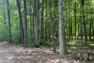 11409 Heather Ln, Canadian Lakes, MI 49346 - Photo 1