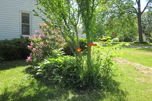 402 Alexander St, Bangor, MI 49013 - Photo 7