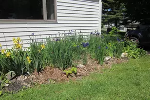 402 Alexander St, Bangor, MI 49013 - Photo 9