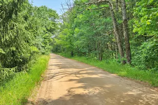383 W 8 Mile Rd, White Cloud, MI 49349 - Photo 17