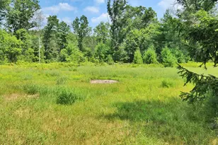 383 W 8 Mile Rd, White Cloud, MI 49349 - Photo 19