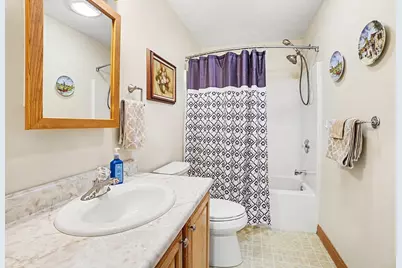 86640 60th Street, Decatur, MI 49045 - Photo 29