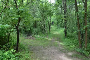 8874 1 Mile Rd, East Leroy, MI 49051 - Photo 87