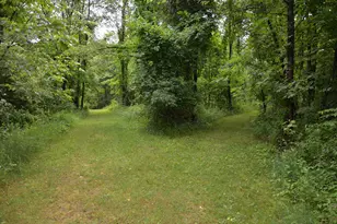 8874 1 Mile Rd, East Leroy, MI 49051 - Photo 77