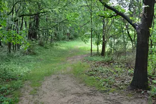 8874 1 Mile Rd, East Leroy, MI 49051 - Photo 83