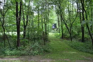 8874 1 Mile Rd, East Leroy, MI 49051 - Photo 89