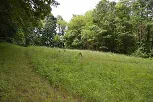 8874 1 Mile Rd, East Leroy, MI 49051 - Photo 85