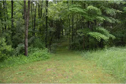 8874 1 Mile Road, East Leroy, MI 49051 - Photo 81