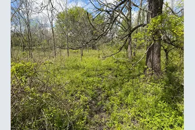 6 Bunkerhill Road, Jackson, MI 49201 - Photo 23