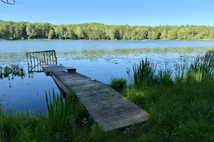4081 N Stephanie Dr, Branch, MI 49402 - Photo 15