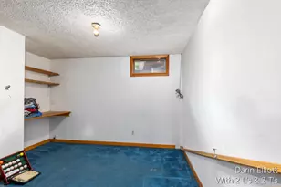 338 Lynn Ave, Ionia, MI 48846 - Photo 33