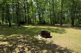 22533 Hoxeyville, Wellston, MI 49689 - Photo 9