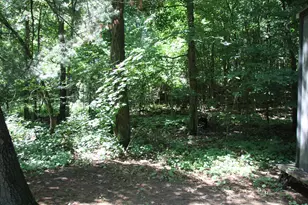 59710 M-51 S, Dowagiac, MI 49047 - Photo 33