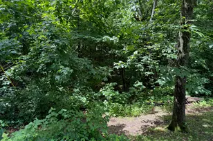 59710 M-51 S, Dowagiac, MI 49047 - Photo 17