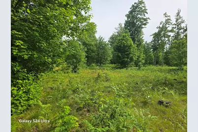 4749 W 9 Mile Road, Irons, MI 49644 - Photo 3