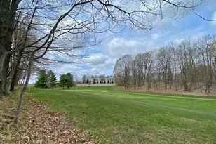 9372 E Circle Dr, Canadian Lakes, MI 49346 - Photo 1