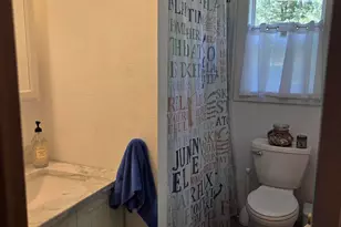 9638 W School Section Lake Dr, Mecosta, MI 49332 - Photo 23