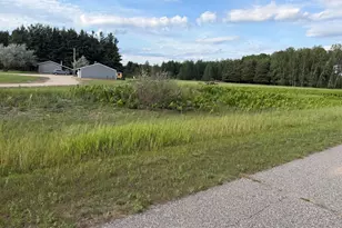 5236 110th Ave, Evart, MI 49631 - Photo 29