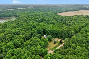 4791 E Fox Rd, Hart, MI 49420 - Photo 29