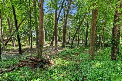 911 N Wooded Lane, Marshall, MI 49068 - Photo 5