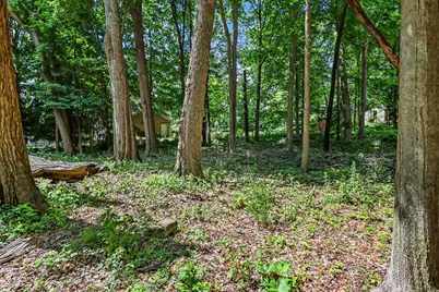 911 N Wooded Lane, Marshall, MI 49068 - Photo 9