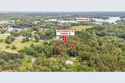 10513 Thornapple Drive, Canadian Lakes, MI 49346 - Photo 9
