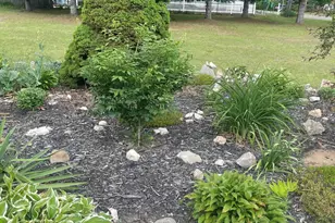 1807 S Lake Mitchell Dr, Cadillac, MI 49601 - Photo 59