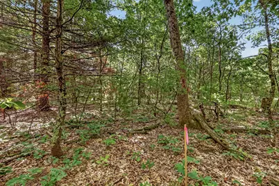 Vl W Michigan Road #A, Twin Lake, MI 49457 - Photo 7
