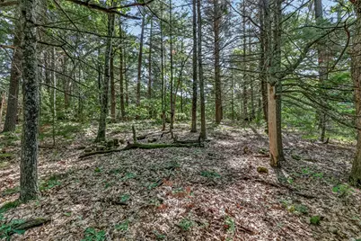 Vl W Michigan Road #B, Twin Lake, MI 49457 - Photo 1