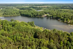 6009 Keeney Dr, Six Lakes, MI 48886 - Photo 33