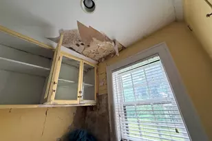 1441 Burns St, Detroit, MI 48214 - Photo 13
