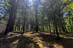 6552 W 11 1/2 Mile Rd, Irons, MI 49644 - Photo 31