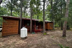 6552 W 11 1/2 Mile Rd, Irons, MI 49644 - Photo 23