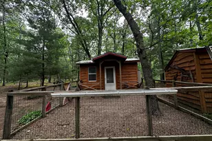 6552 W 11 1/2 Mile Rd, Irons, MI 49644 - Photo 25