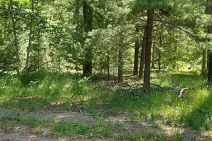 V/L Beverlyway Dr, Twin Lake, MI 49457 - Photo 1