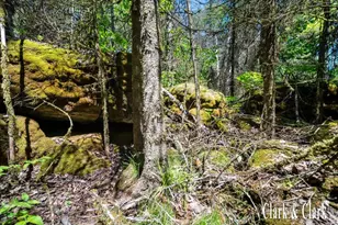 35965 S Humms Rd, Drummond Island, MI 49726 - Photo 67