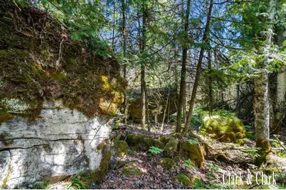 35965 S Humms Road, Drummond Island, MI 49726 - Photo 63