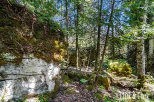 35965 S Humms Rd, Drummond Island, MI 49726 - Photo 63