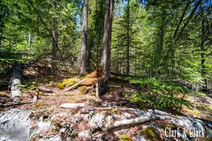 35965 S Humms Rd, Drummond Island, MI 49726 - Photo 63