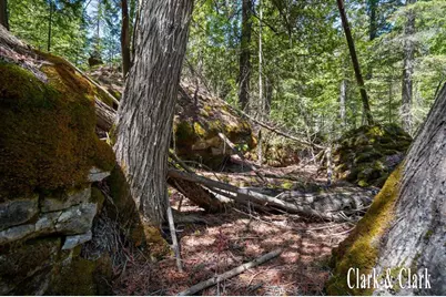 35965 S Humms Road, Drummond Island, MI 49726 - Photo 61