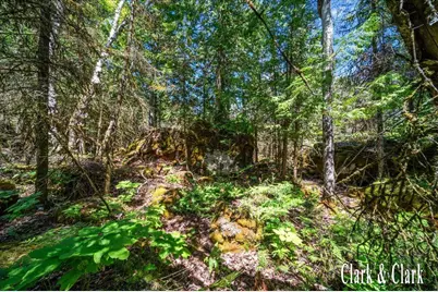 35965 S Humms Road, Drummond Island, MI 49726 - Photo 67