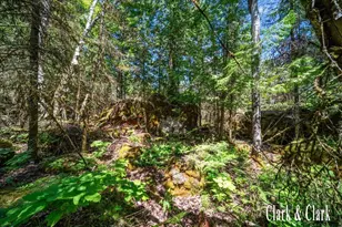 35965 S Humms Rd, Drummond Island, MI 49726 - Photo 67