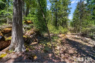 35965 S Humms Road, Drummond Island, MI 49726 - Photo 61