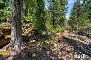 35965 S Humms Rd, Drummond Island, MI 49726 - Photo 61