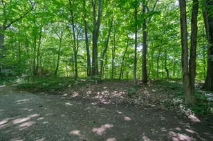 Vl Ramblewood Circle, Covert, MI 49043 - Photo 1